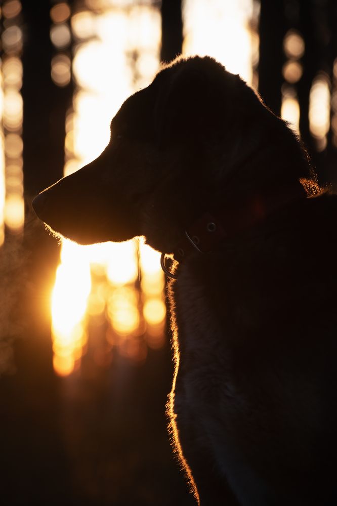 Photograph by Захаров Дмитрий