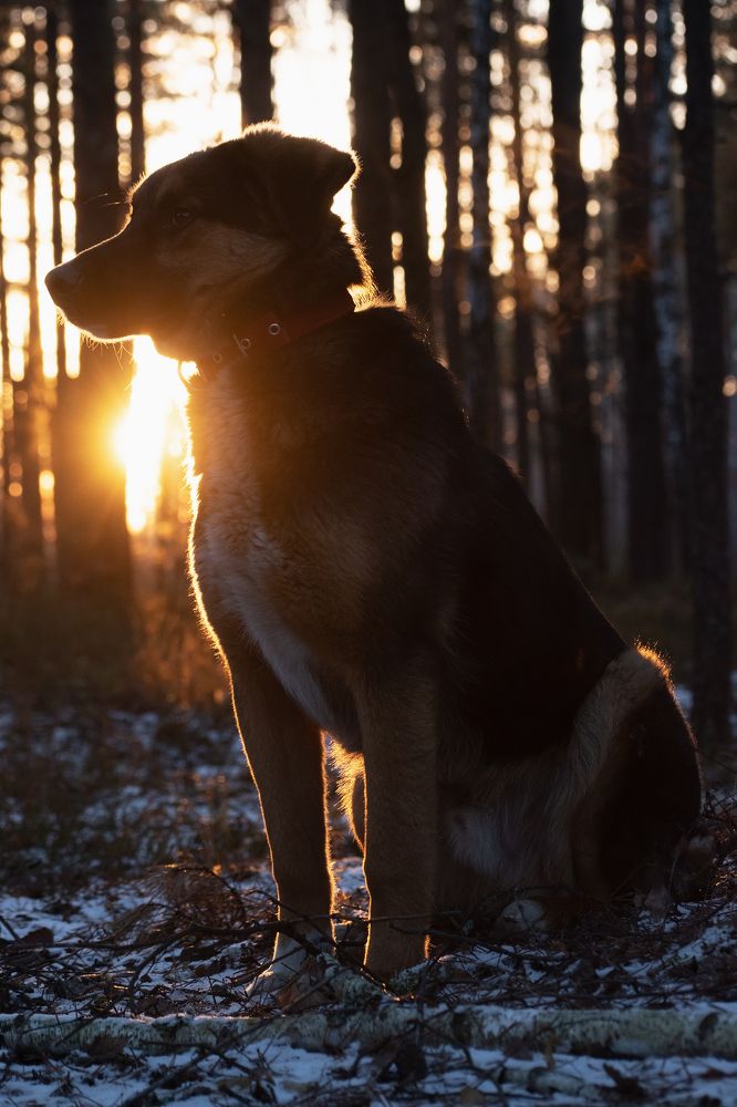 Photograph by Захаров Дмитрий