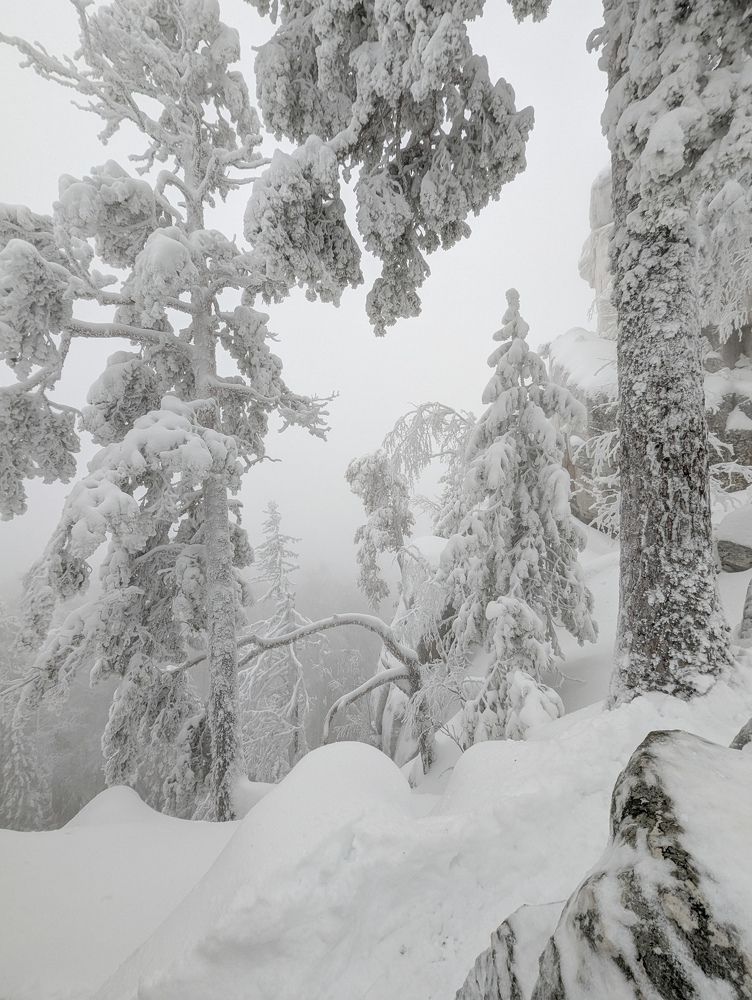 Photograph by Ишниязов Марсель