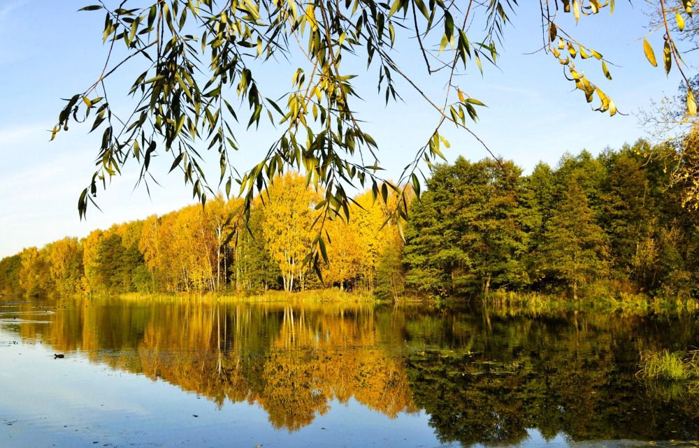 Photograph by Татьяна