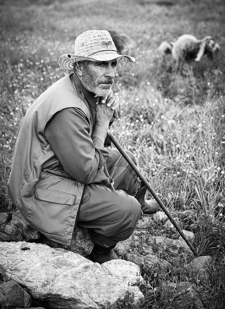 Photograph by Mina Heidari