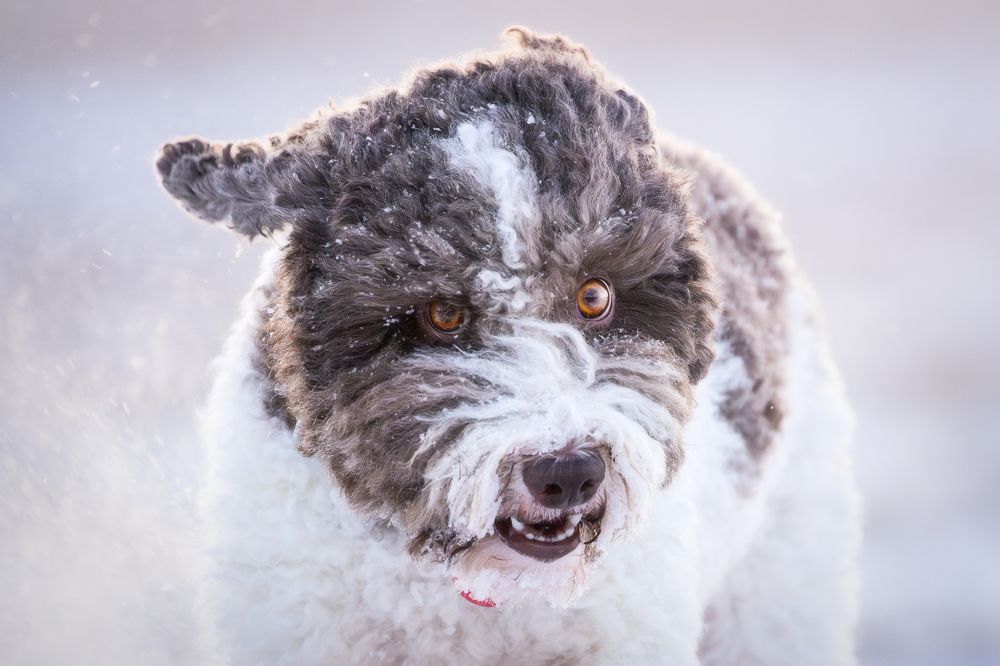 Photograph by Dmitry Ishniyazov