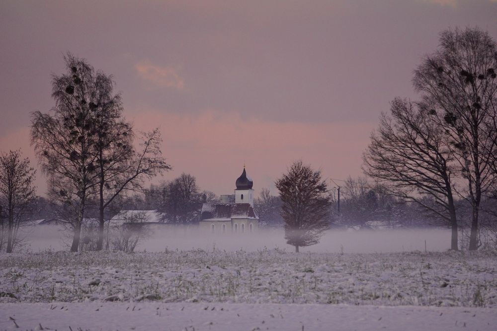 Фотография автора Liudmila Kiermeier