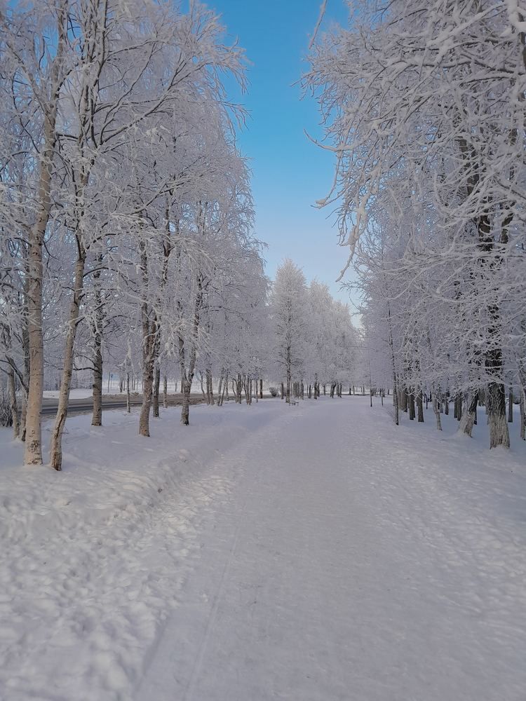 Photograph by Виталий