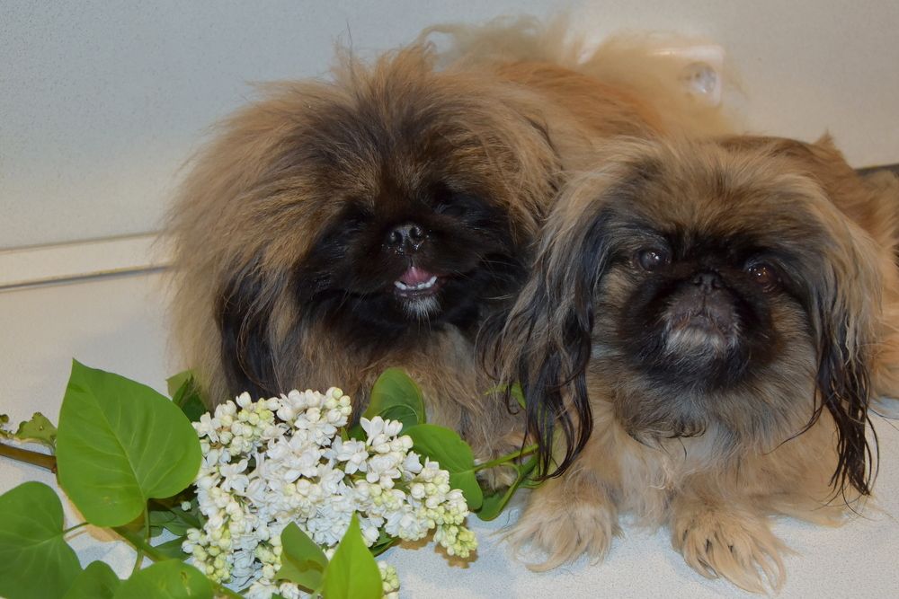 Photograph by Dimon Grinih