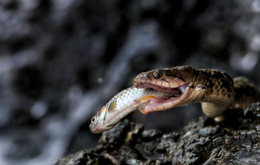 Photograph by Nirav Mehta