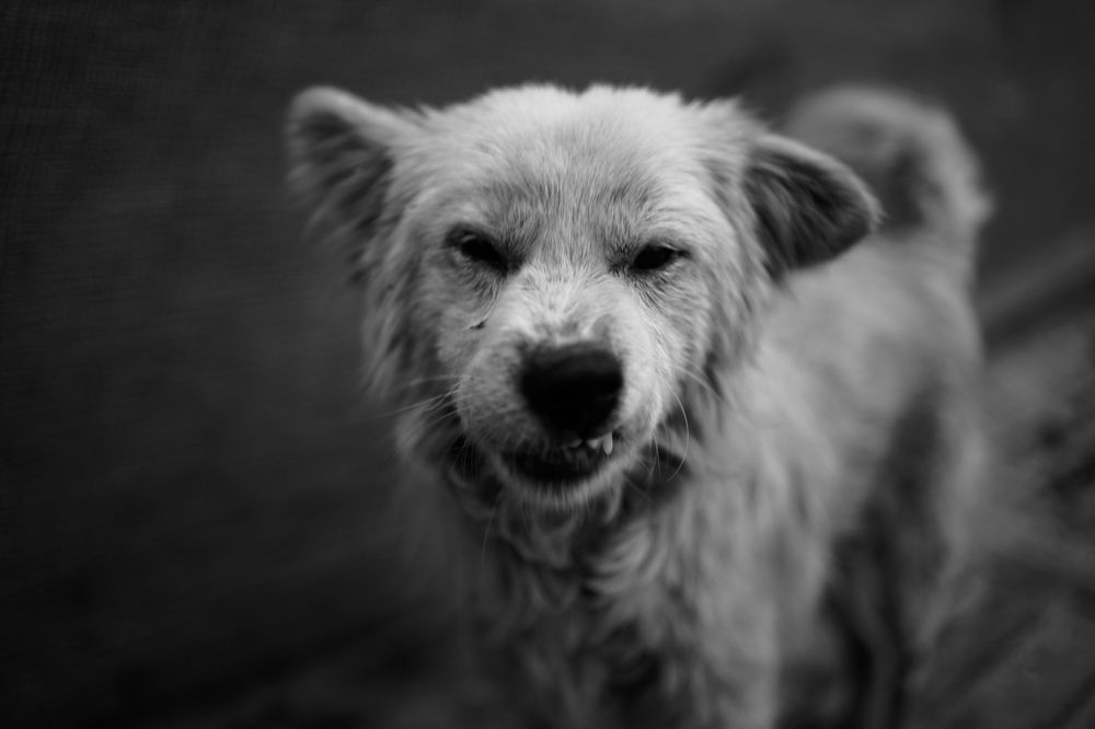Smile