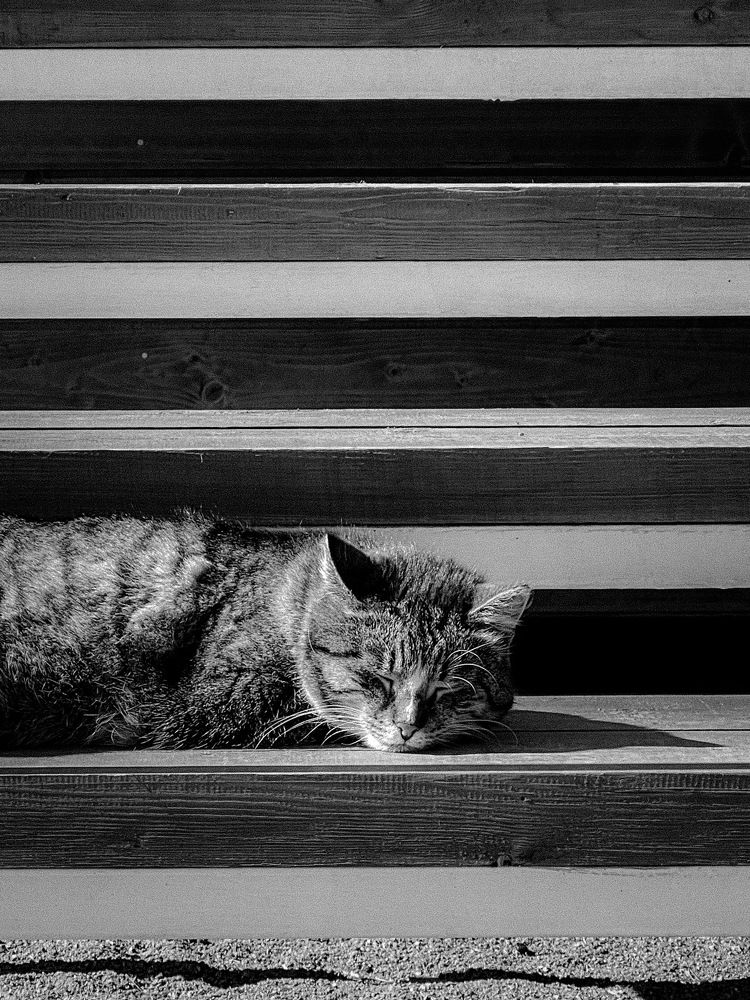 Photograph by Вячеслав Косенков