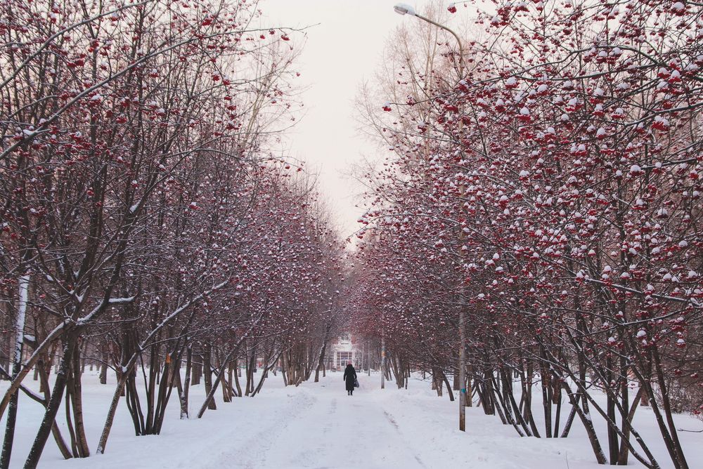 Photograph by Евгения Сенченко