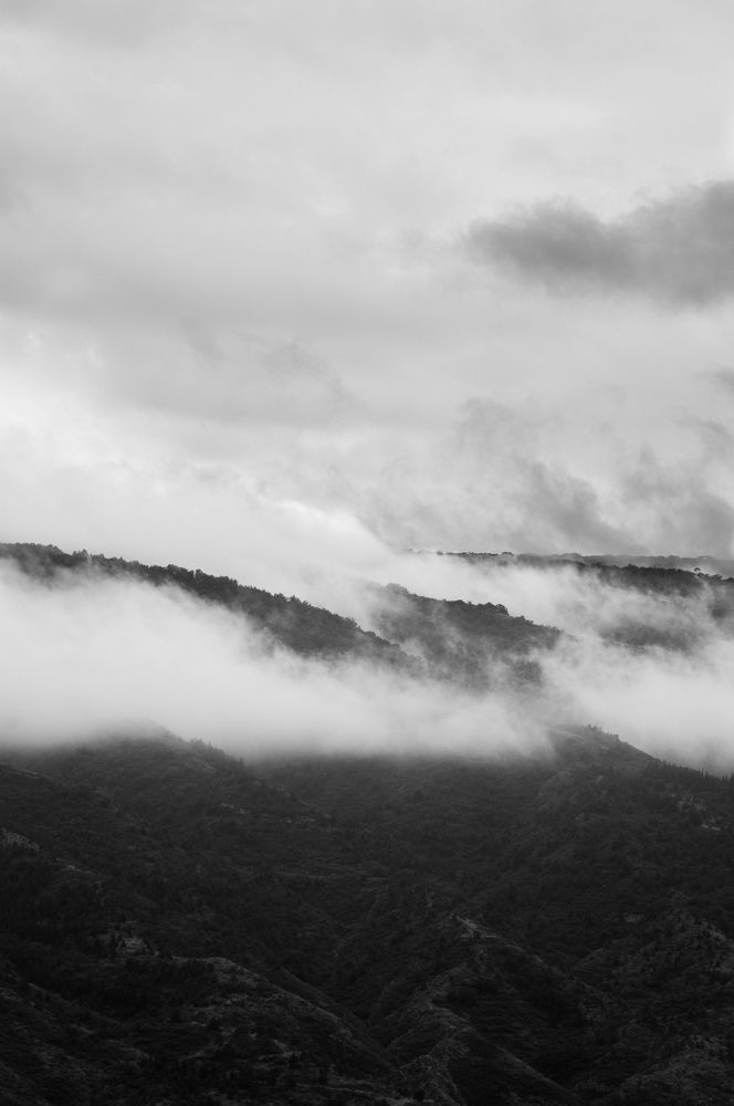 Photograph by Марина Маркина