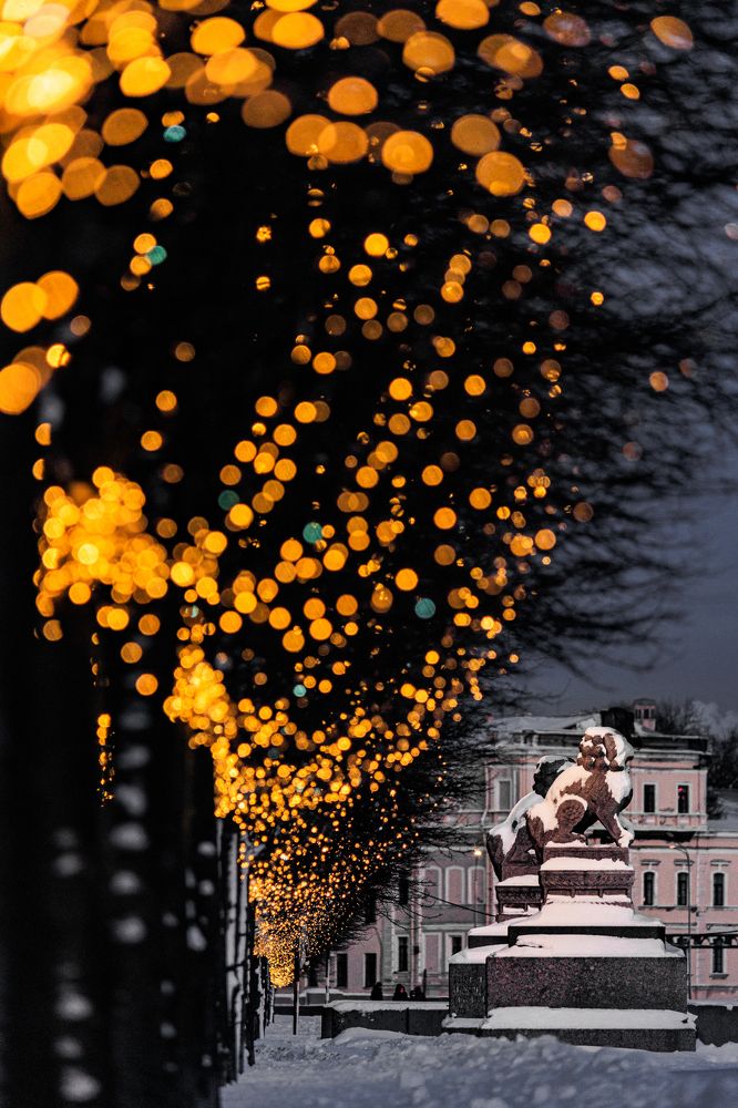 Photograph by Ира Петербург