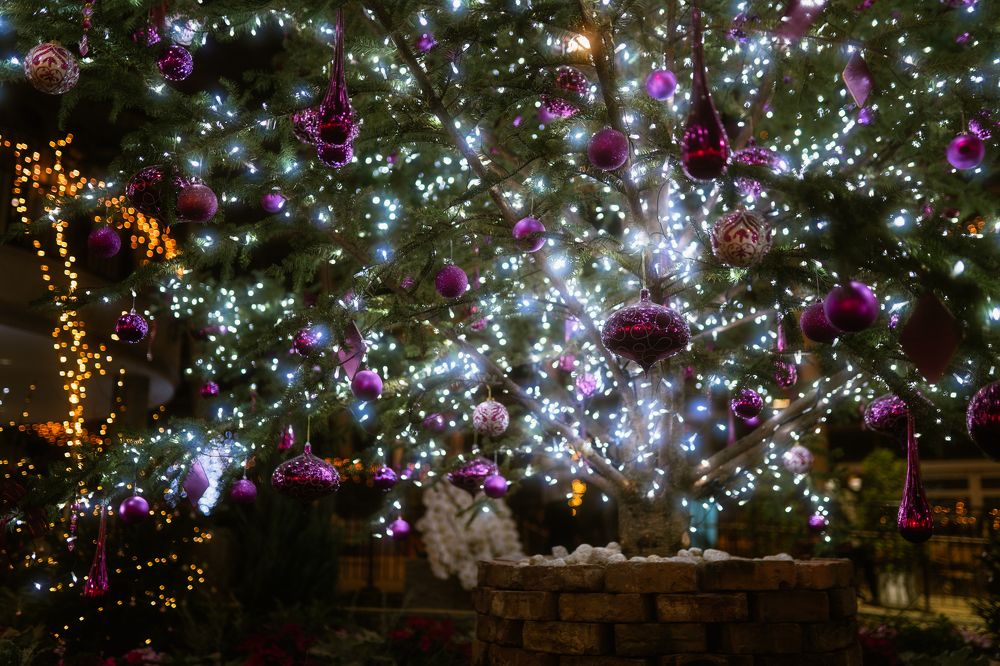 Photograph by tunemori