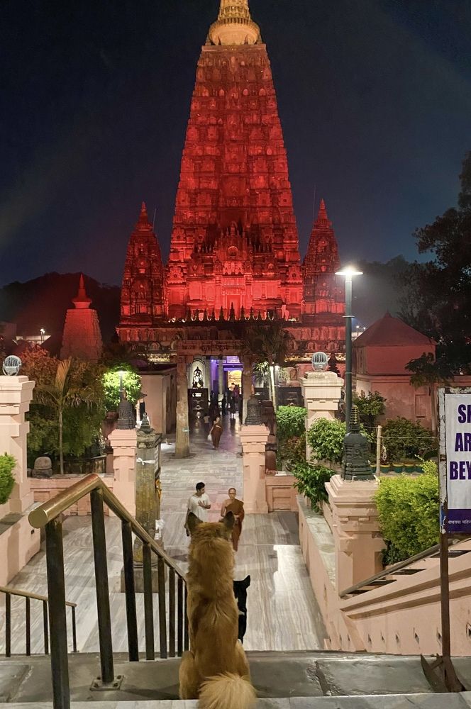 Photograph by Tatjana Schlag