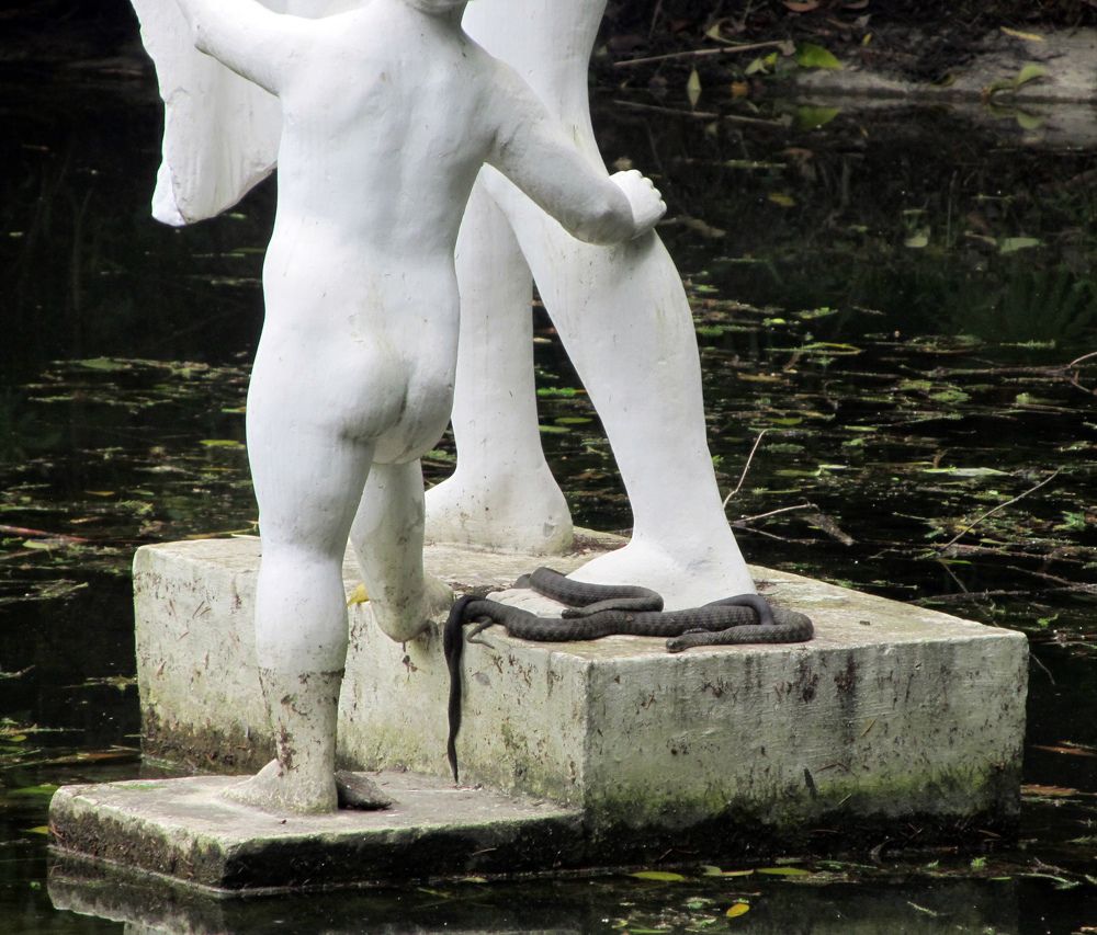 Photograph by Лена Максимкина