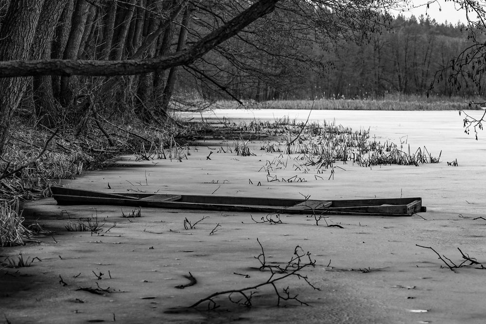 Photograph by Сергей Конюшенко