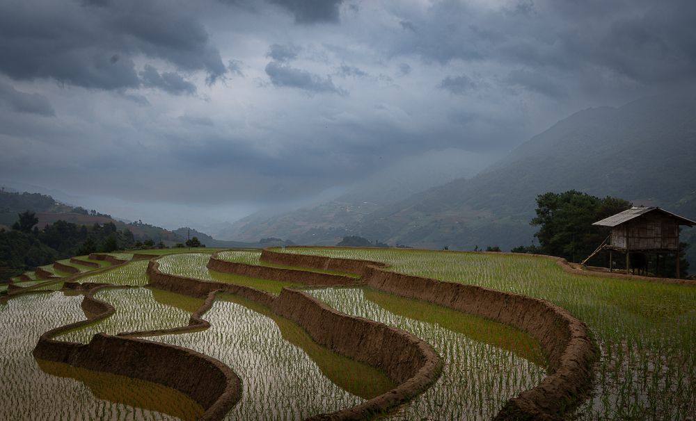 Photograph by Марина Маликова