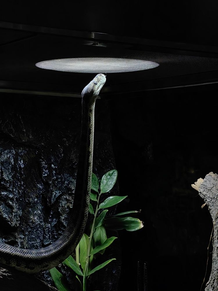 Photograph by Veranika Siratsinina