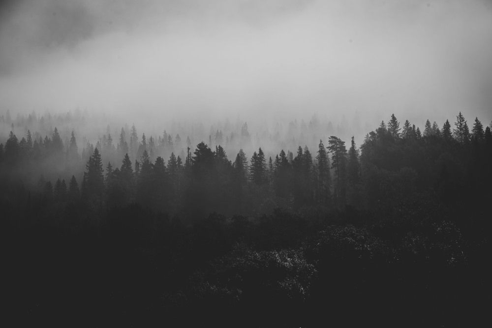 Фотография автора Злобин Сергей