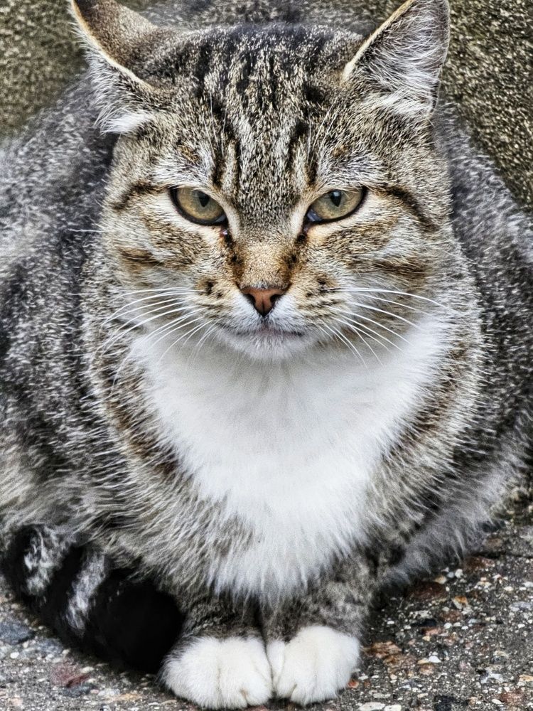 Photograph by Natali AB