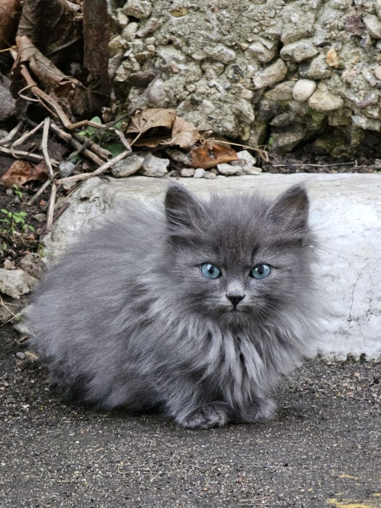 Photograph by Natali AB