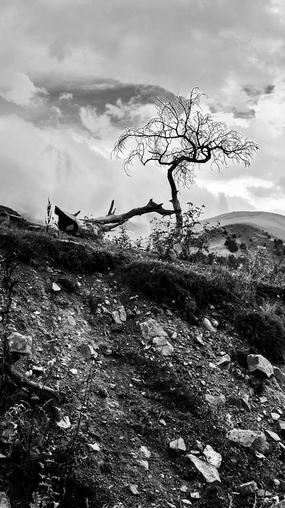 Photograph by Анастасия Волошина