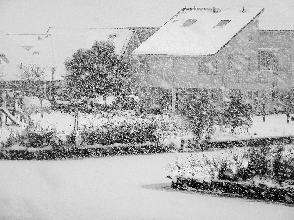 Photograph by Marjo Steffen