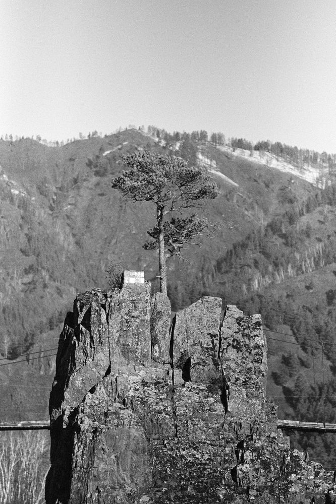 Photograph by Дмитрий Якимекно