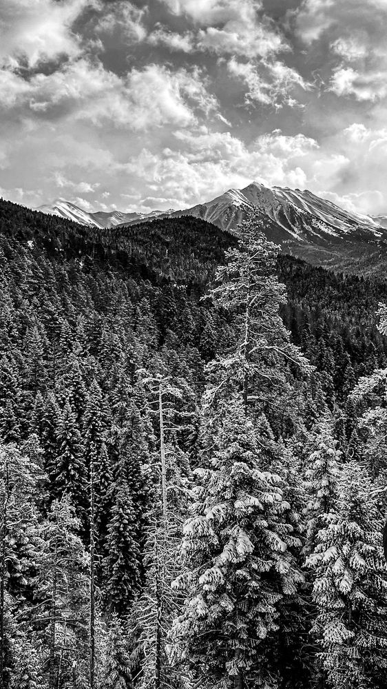 Photograph by Анастасия Волошина