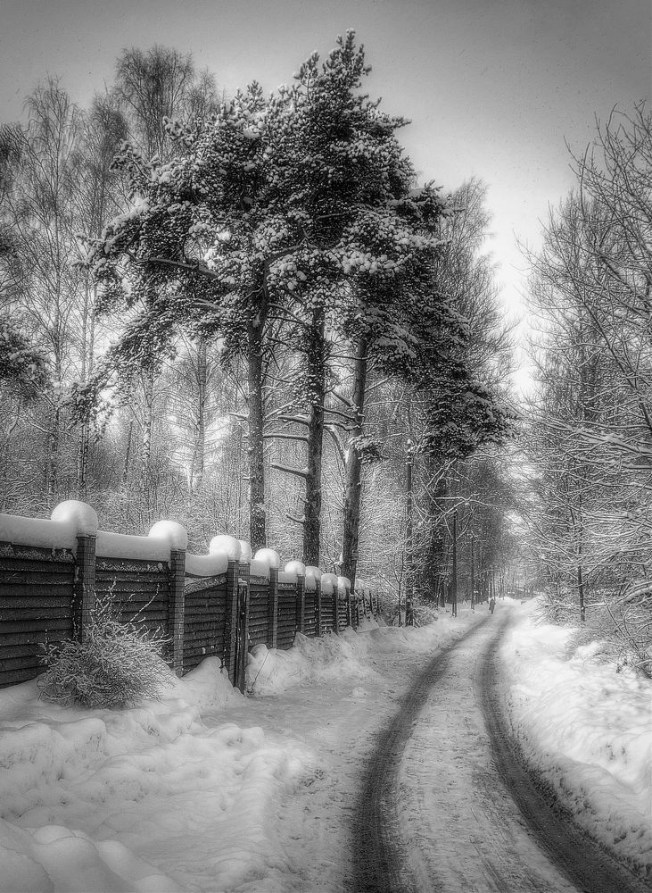 Photograph by Marina Krivitskaya