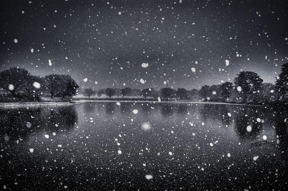 Photograph by Daiyu Moko