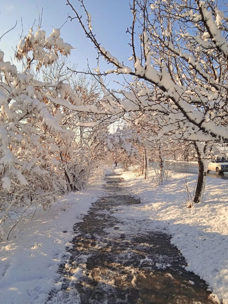 Photograph by Анна Напримерова