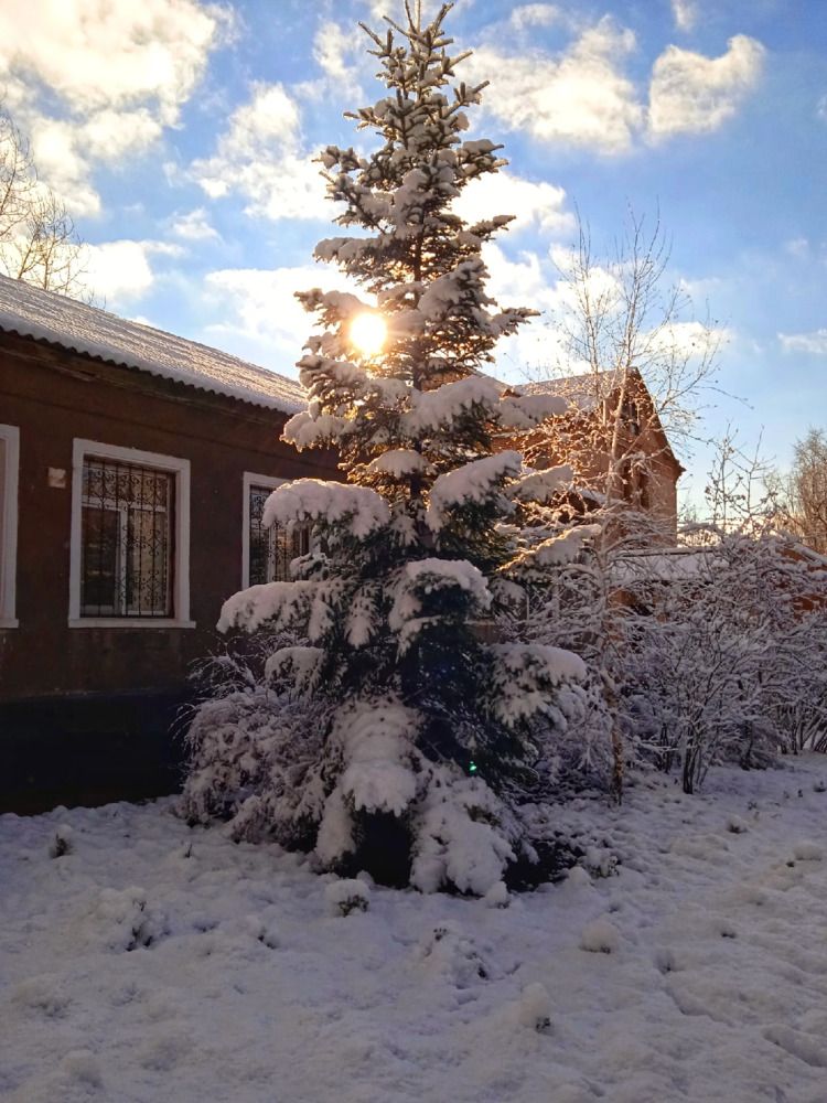 Photograph by Анна Напримерова