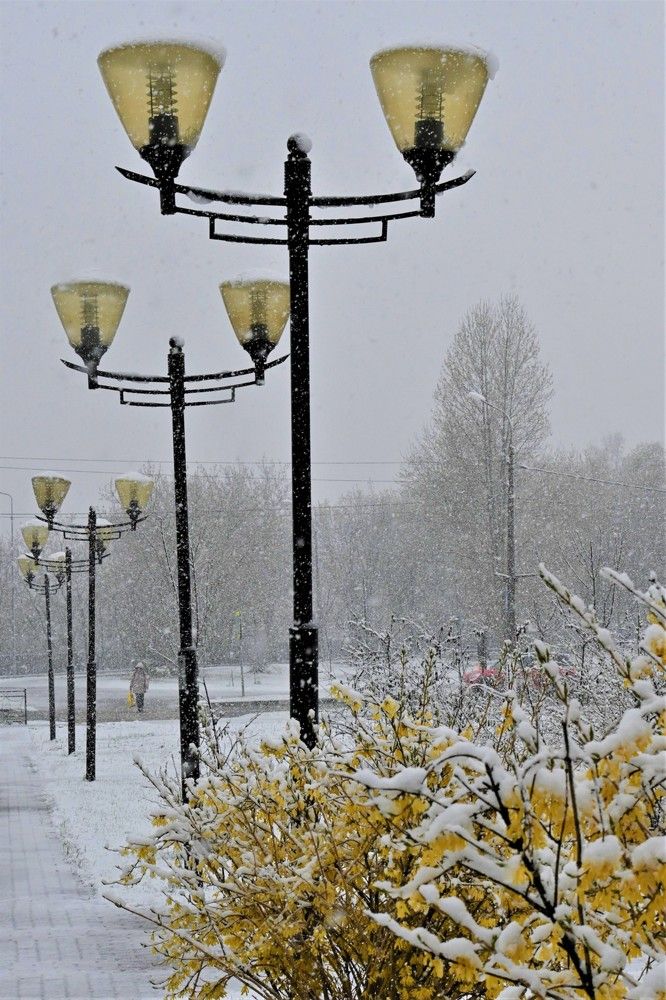 Фотография автора IRINA FILIPPOVA