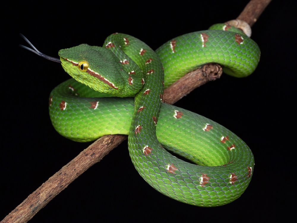 Photograph by TAN LING ZI