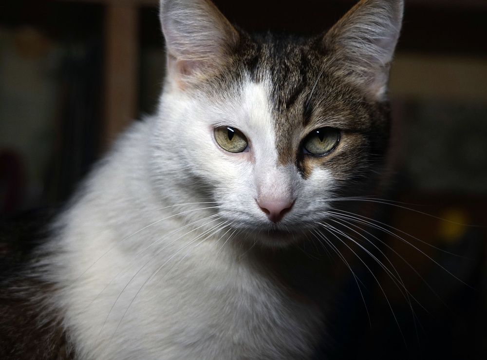 Photograph by Лена Максимкина