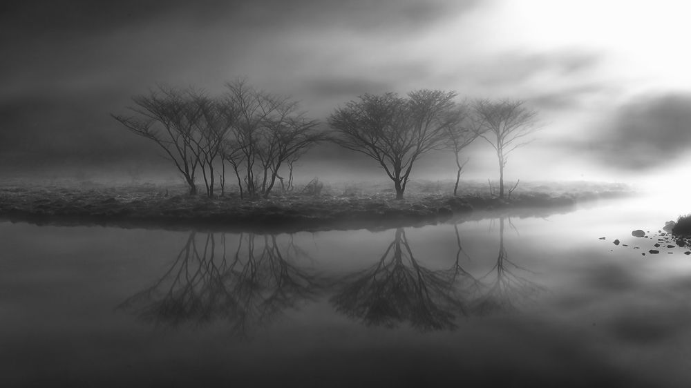 Photograph by Daiyu Moko