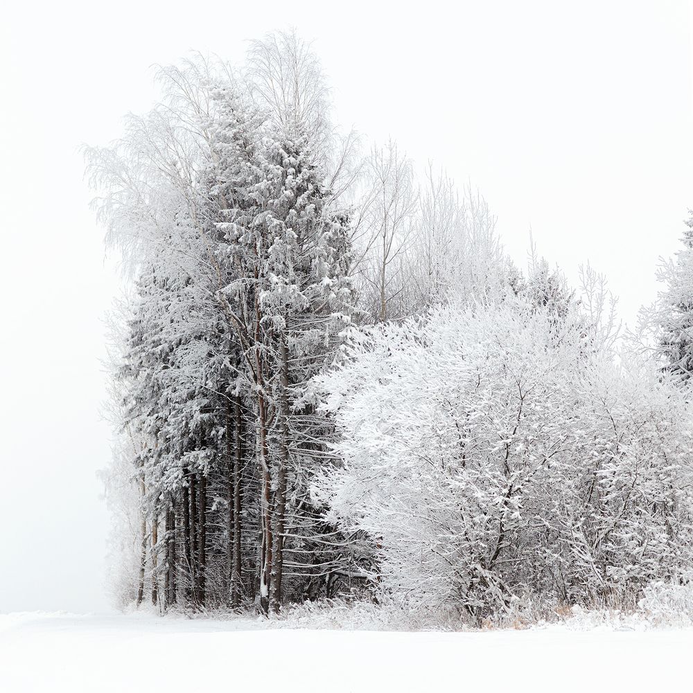 Photograph by Макаров Роман