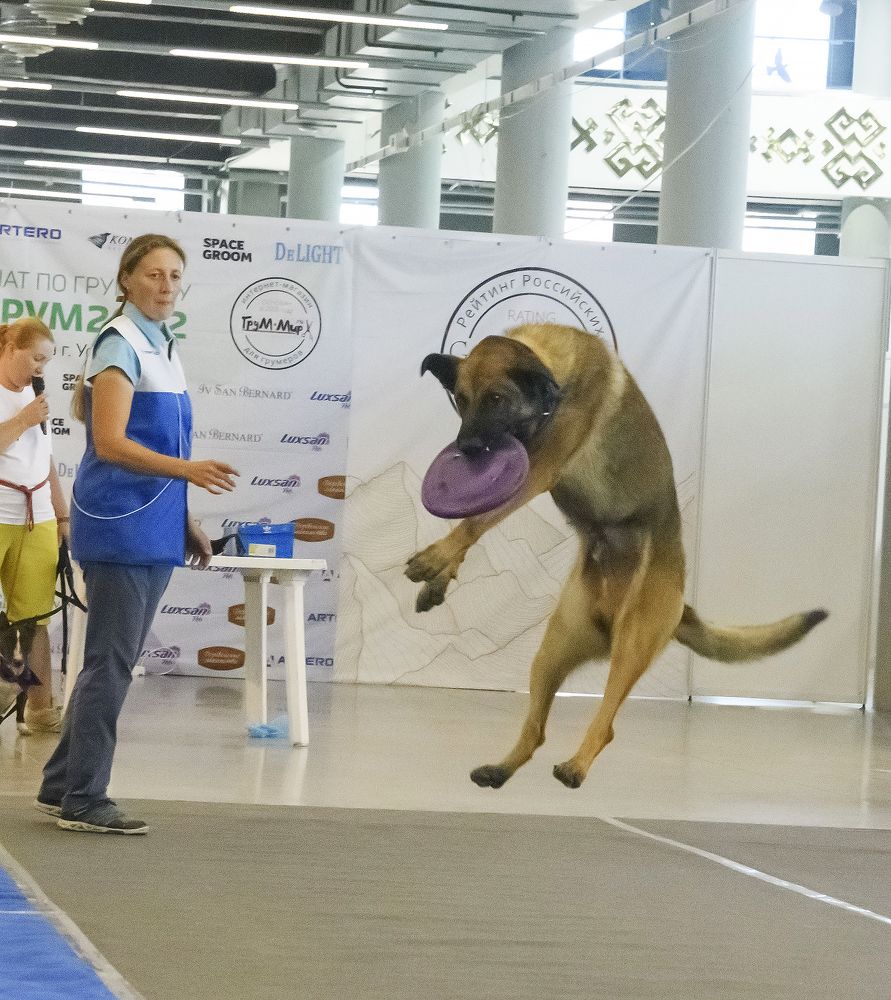 Photograph by Алексей Патлах