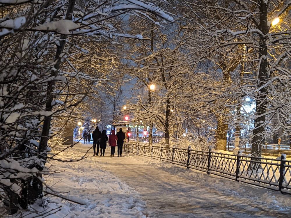 Фотография автора IRINA FILIPPOVA