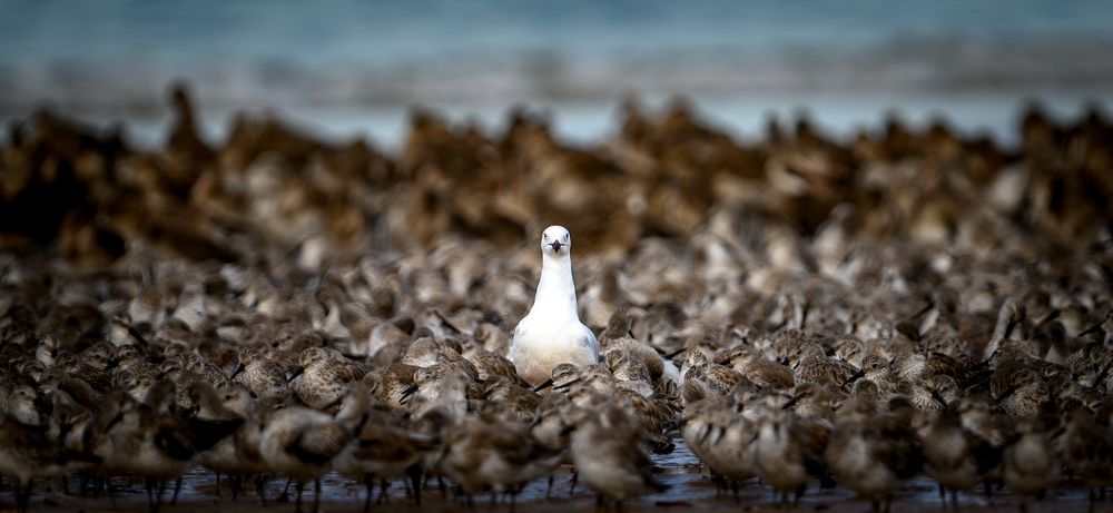 Photograph by Son Truong