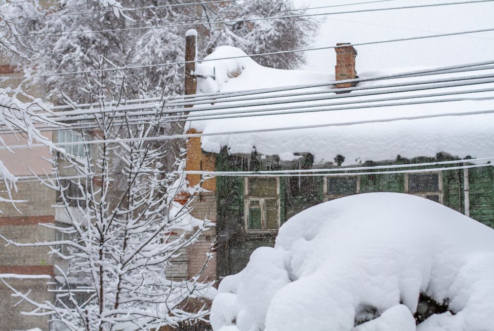 Photograph by Елена