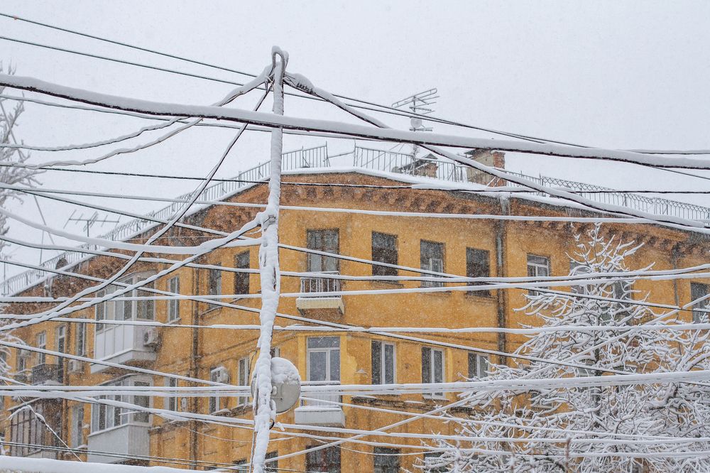 Photograph by Елена