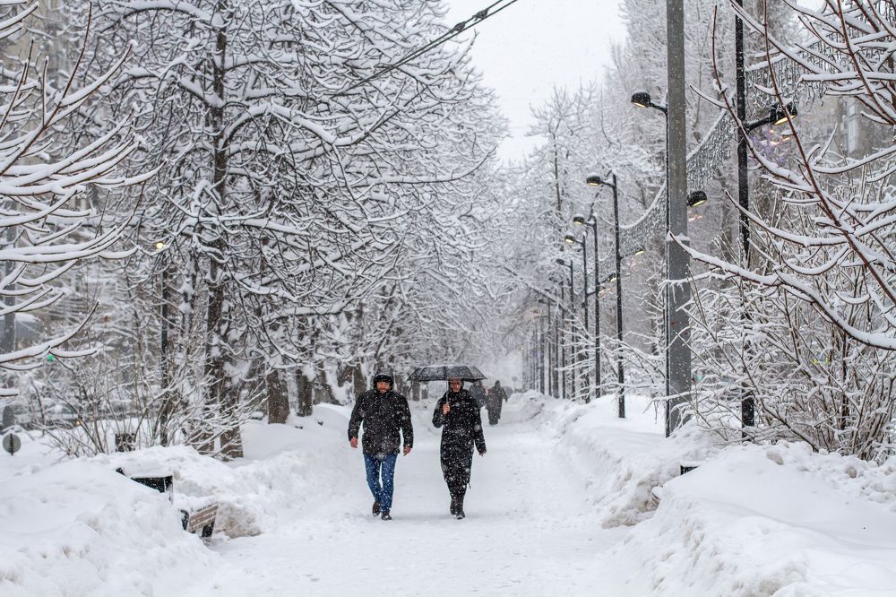 Photograph by Елена