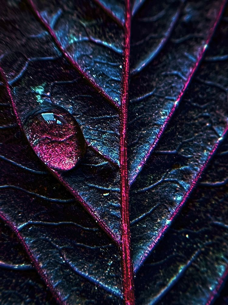 Фотография автора Екатерина