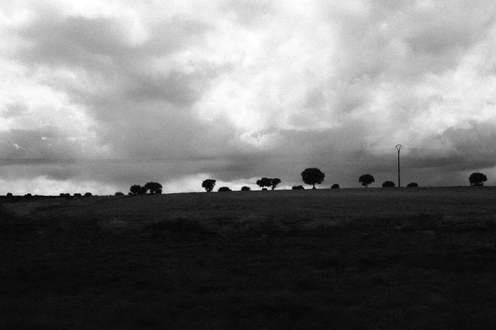 Photograph by Julia Smilovitsky