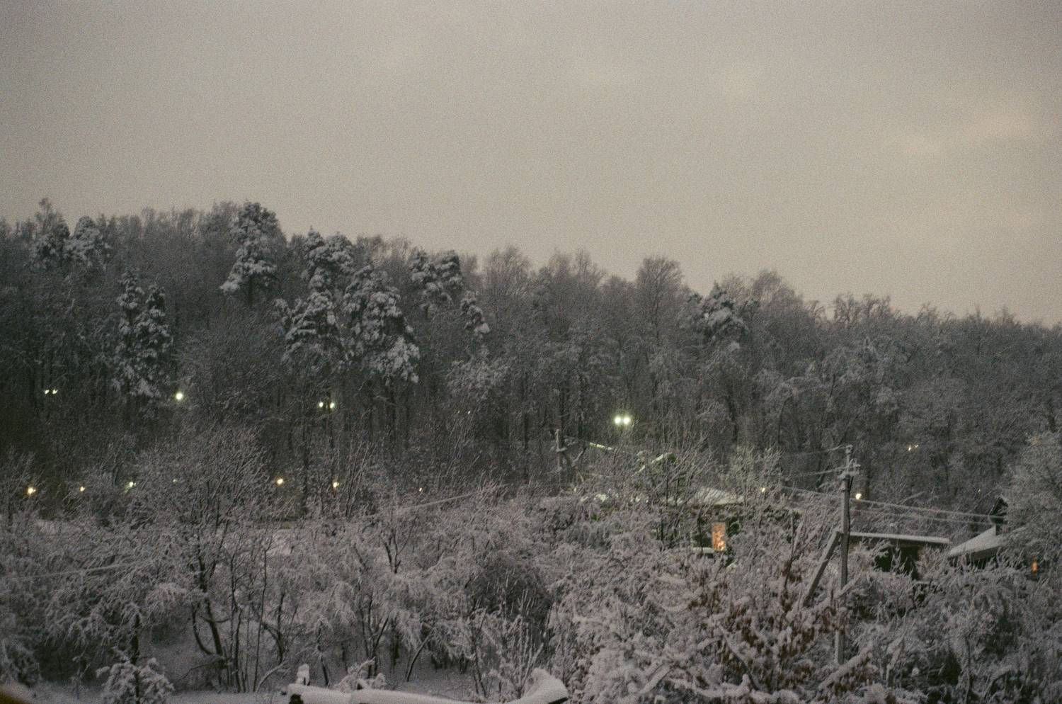 Photo #11605676