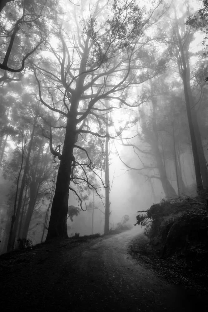 Фотография автора Namal Siriwardena