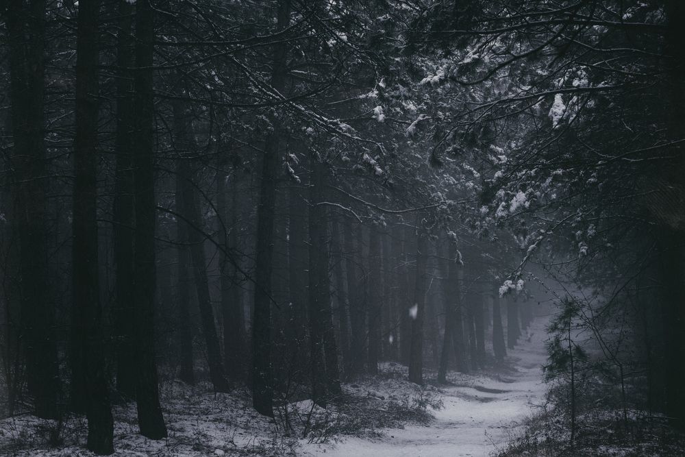 Photograph by Оксана Пономаренко