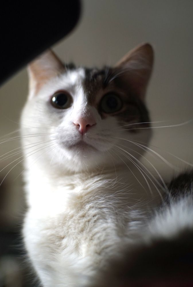 Photograph by Лена Максимкина