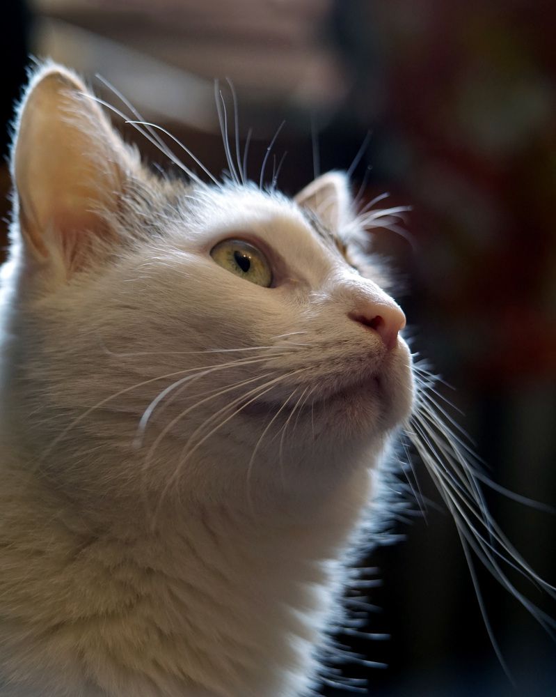 Photograph by Лена Максимкина